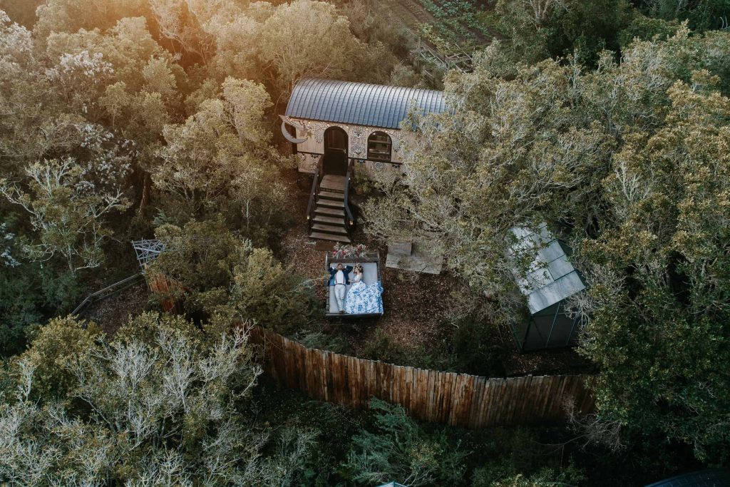 10 wonderful reasons why you should elope at Treedom