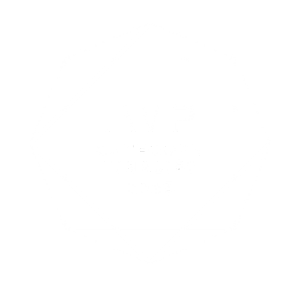 International wedding photographer of the year awards finalist June Richards photography