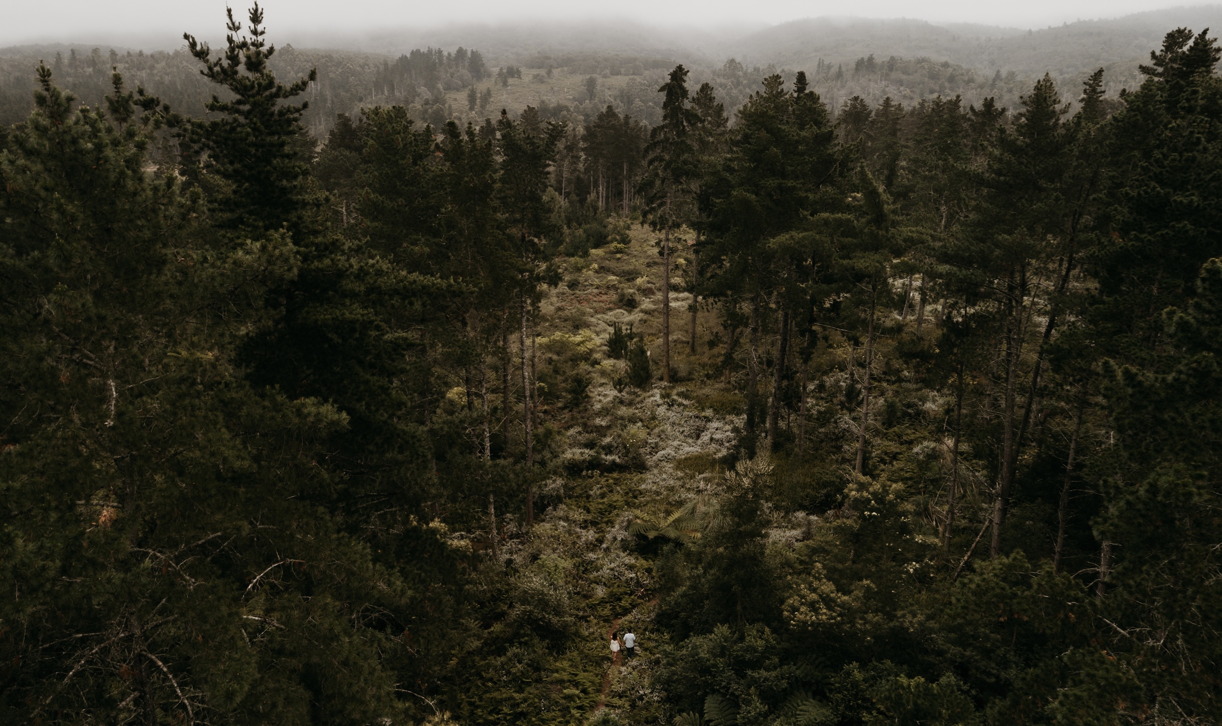 Safari and Adventure
Wedding & Elopement Photographer