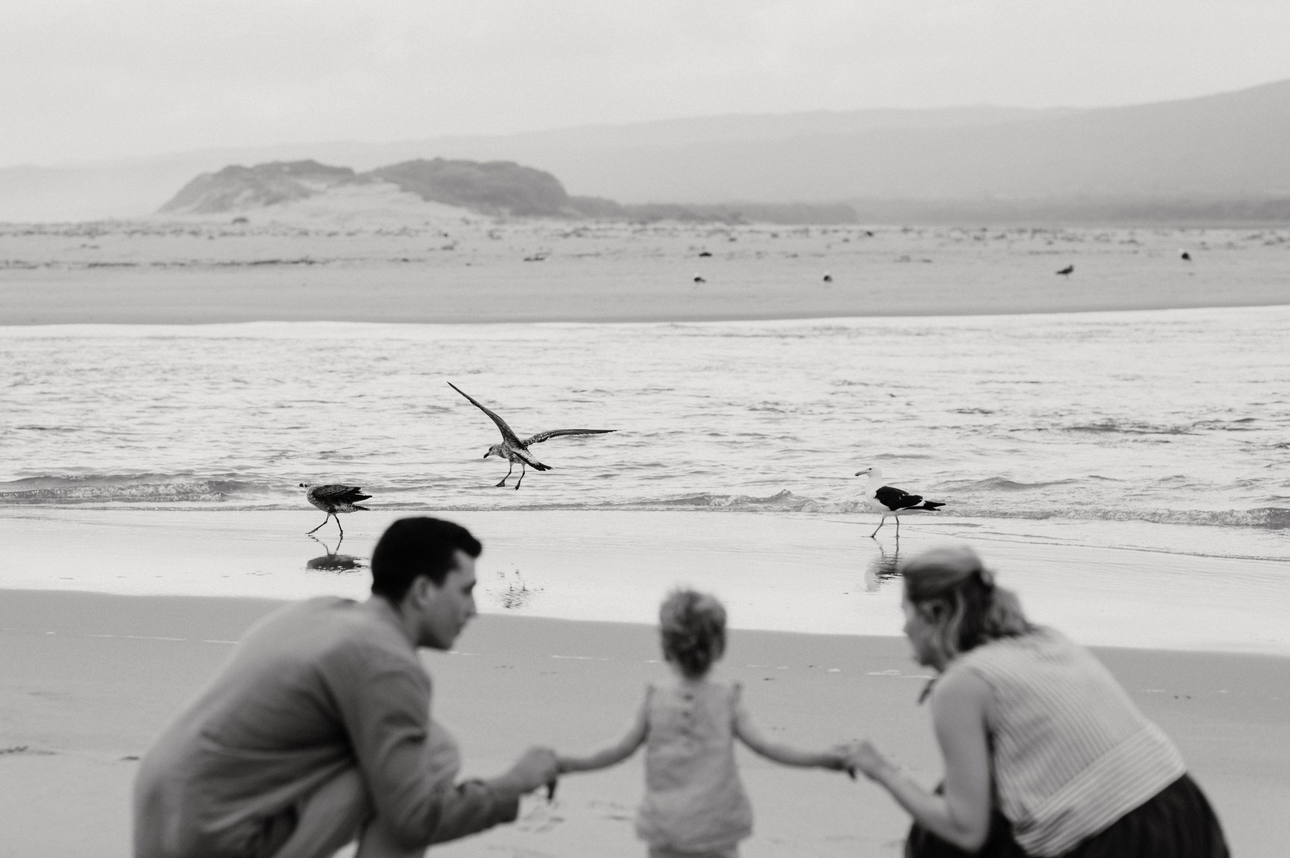 family-photographer-june-richards-photography